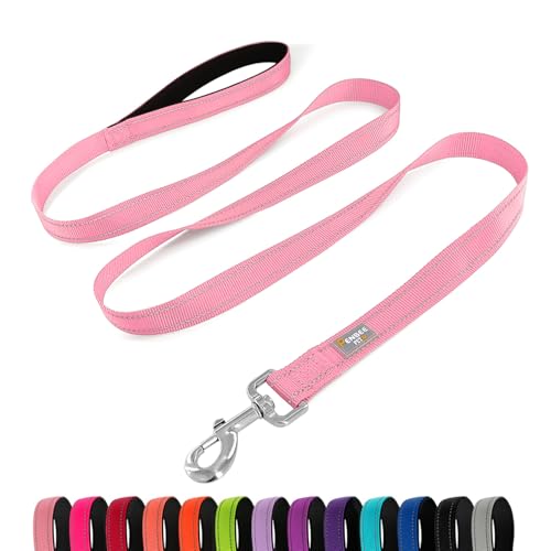 Dog Leash 6 FT Padded Handle Nylon Reflective Dogs Leashes for Small Dogs Pink - color: Refl Pink, size: Small : 5/8" x 6 FT