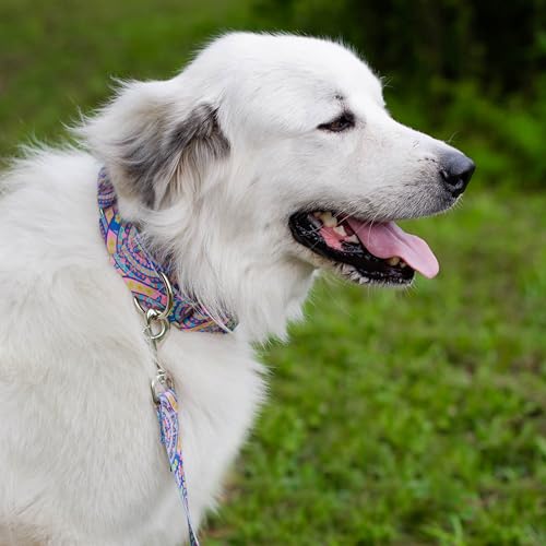 Country Brook Petz - HossFit Jr Wide Martingale Dog Collar - Groovy Collection Featuring Far Out Designs (Blue Boho Mandala, Large) - color: Blue Boho Mandala, size: Large (Pack of 1)