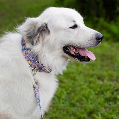 Country Brook Petz - HossFit Jr Wide Martingale Dog Collar - Groovy Collection Featuring Far Out Designs (Blue Boho Mandala, Large) - color: Blue Boho Mandala, size: Large (Pack of 1)