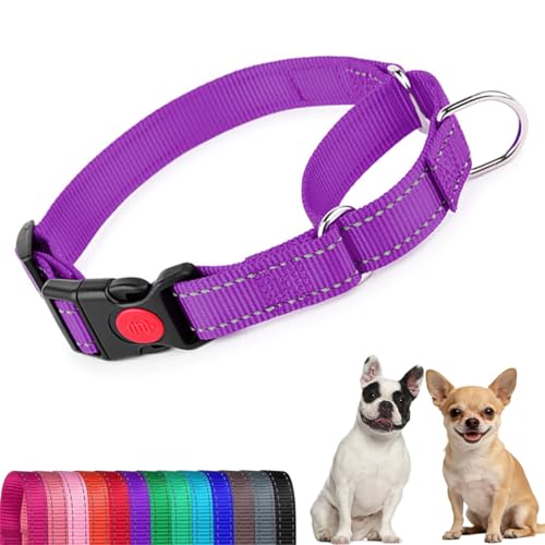 Martingale Dog Collar,Buckle Reflective Dog Choke Collar Escape Proof No Pull Cinch Dog Training Collars Adjustable for Small Medium Breed Pet Dogs,Purple M - color: Purple, size: M(Neck 13.5-16")