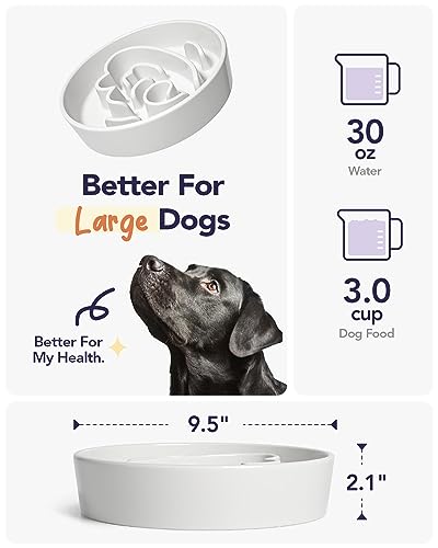 LE TAUCI Slow Feeder Dog Bowls Ceramic,3 Cups Slow Feeding Dog Bowl Medium Large Breed, Pet Bowl for Fast Eaters, Puzzle Pet Dishes, Angle White - color: Angle White, size: L-3 Cups