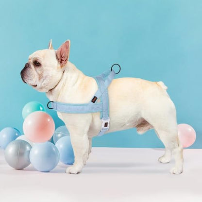 Didog No Pull Dog Harness with Breathable Mesh Padded, Quick Fit & Easy on Dog Vest Harness for Small Medium Large Dogs Training Walking(Blue,M) - color: Blue, size: M:Chest 22-27", Fit 28-50 lbs