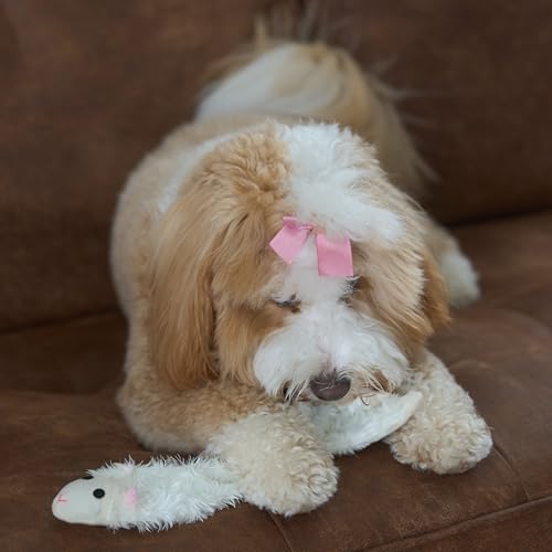 SPOT Skinneeez Crinklers Lamb - Stuffing-Free Dog Toy with Crinkle & Squeaker Sounds, Durable for Moderate Chewers, Tug Toy for Small Dogs & Puppies, 14in - style: Small Lamb