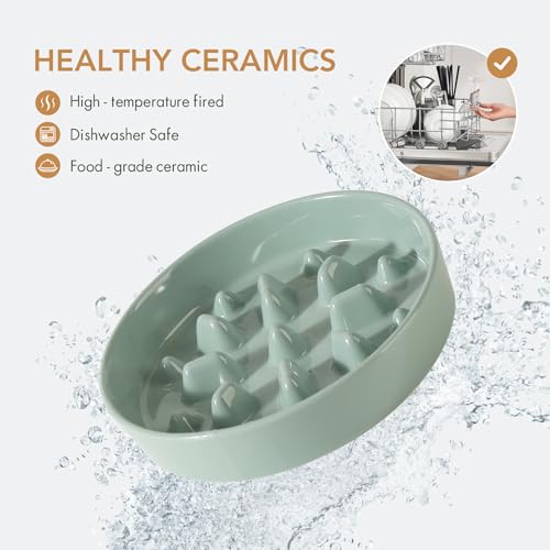 Havniva Ceramic Slow Feeder Dog Bowls, 1.6 Cups Dog Bowl Slow Feeding for Medium Breed, 8.2inch Puzzle Dog Food Bowl Slow Feeder Non-Slip Anti-Gulping and Anti-Choking Reduces Bloating - color: 1 x Light Green-C, size: 8.2inch