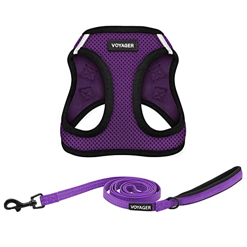 Voyager Step-in Air All Weather Mesh Harness and Reflective Dog 5 ft Leash Combo with Neoprene Handle, for Small, Medium and Large Breed Puppies by Best Pet Supplies - Purple, X-Small - color: Leash Harness Set (Purple Base), size: XS (Chest: 13 - 14.5")