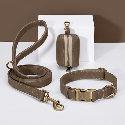 Didog Stylish Dog Poop Bag Holder for Leash, Easy-Pull and Colorful PU Leather Dog Poop Bag Dispenser with Metal Clip, Includes 1 Roll Pet Waste Bag for Daily Walking,Brown - color: Brown