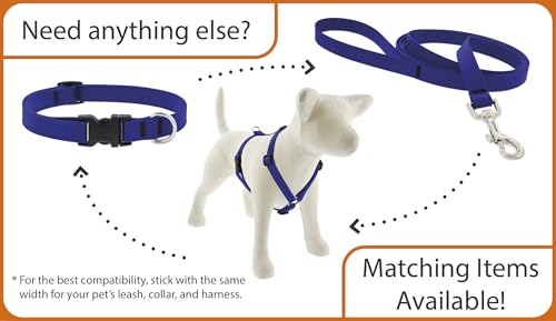 LupinePet Waterproof Splash Dog Collar, Brick Red, 3/4-inch Wide, adjusts 13-22", Made with BioThane - color: Brick Red, size: Medium: Adjusts from 13 to 22 in, 3/4-in wide