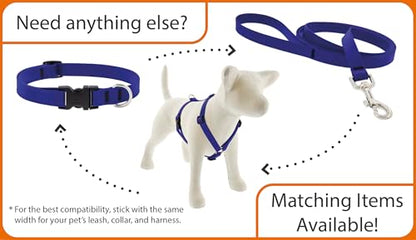 LupinePet Waterproof Splash Dog Collar, Jet Black, 3/4-inch Wide, adjusts 9-14", Made with BioThane - color: Jet Black, size: Small: Adjusts from 9 to 14 in, 3/4-in wide