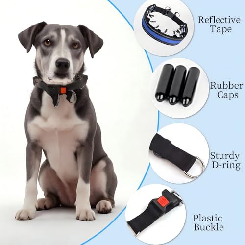 Reflective Dog Training Collar with Quick Release Buckle,Adjustable Stainless Steel Dog Collar with Soft Nylon Cover for Small Medium Large Dogs(Blue,M(16-19" Neck,3mm)) - color: Blue, size: M