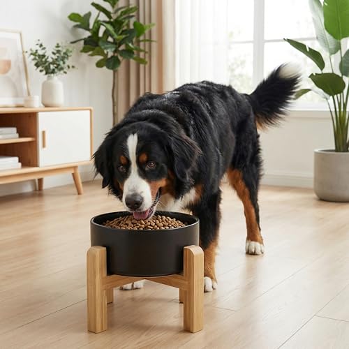 hjn Elevated Ceramic Dog Bowl with Bamboo Stand, Raised Pet Feeding Station for Small Medium Dogs Cats, Modern Design with Anti-Slip Base (Black, 7.6Cup) - color: Black, size: 7.6Cup