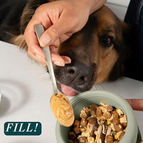 Should We Go? Interactive Dog Enrichment Toy with Freezer Plug, BPA-Free Silicone Puzzle Dog Freeze Bowl & Treat Dispenser for Mental Stimulation, Ideal for Kibble & Frozen Licks, Fits 10 oz, Medium - size: Medium