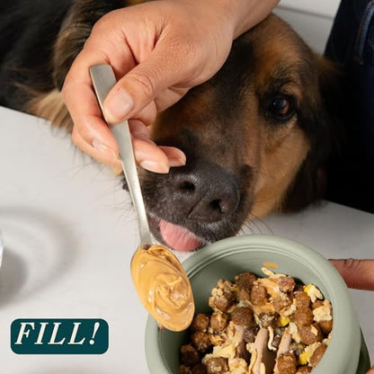 Should We Go? Interactive Dog Enrichment Toy with Freezer Plug, BPA-Free Silicone Puzzle Dog Freeze Bowl & Treat Dispenser for Mental Stimulation, Ideal for Kibble & Frozen Licks, Fits 10 oz, Medium - size: Medium