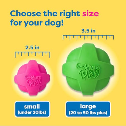 Hartz DuraPlay Bacon Scented Dog Toys, Large 1 Count, Colors May Vary (Pack of 2) - size: 2 Count, style: Large Ball