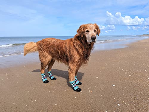 All Weather Neoprene Paw Protector Dog Boots with Reflective Straps in 5 Sizes! (Turquoise XL) - size: XL