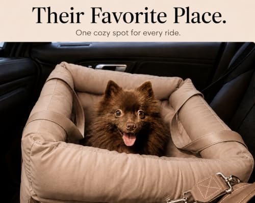 Dog Booster Car Seat for Small Dogs, Stable Non-Slip Design Up to 35 lbs, Water-Resistant PU Travel Carrier with Headrest Straps, Built-in Tether & Storage — Gray