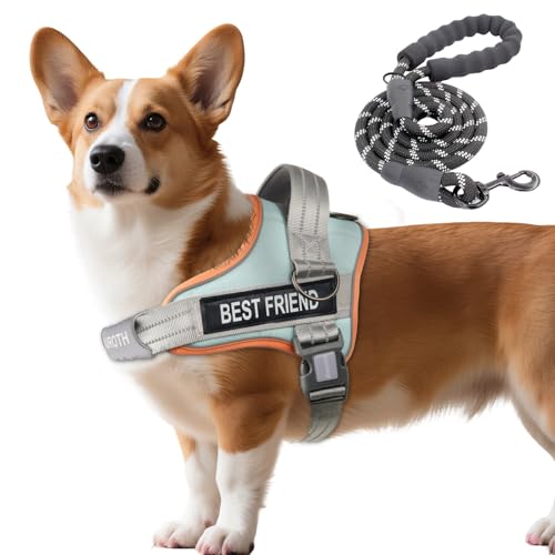 AUROTH Dog Harness and Leash Set, Soft Padded Service Dog Vest with 5.25FT Dog Leash, No Choke, Easy On Pet Vest, Adjustable Reflective No Pull Pet Vest Medium Sized Dog, Easy Walking and Training - color: Macaron Blue, size: M(Neck:17.7"-24",Chest:23.6"-