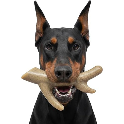 SodaPup Ever Antler – Durable Dog Chew Toy Made in USA from Non Toxic Pet Safe Food Safe Nylon Material for Mental Stimulation, Clean Teeth, Fresh Breath, Problem Chewing, & More - color: Brown Ever Antler