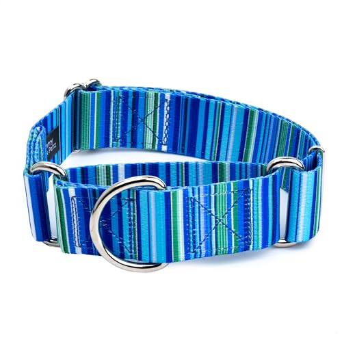 Country Brook Petz - HossFit Jr Wide Martingale Dog Collar - Country and Western Collection Featuring Rustic Designs (Blue Serape, Extra Large) - color: Blue Serape, size: Extra Large (Pack of 1)