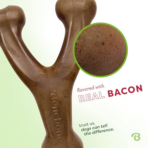 Benebone Wishbone Durable Dog Chew Toy for Aggressive Chewers, Real Bacon Made in USA, Tiny - size: Tiny