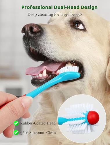 10 Pieces Pet Toothbrush Set for Medium Large Dogs, Extra Long Double-Ended Dog Toothbrush with 360° Brush, Soft Bristle Dental Care Kit with Finger Brushes, Pet Teeth Cleaning Supplies (Multicolor) - color: Modelb-10pack