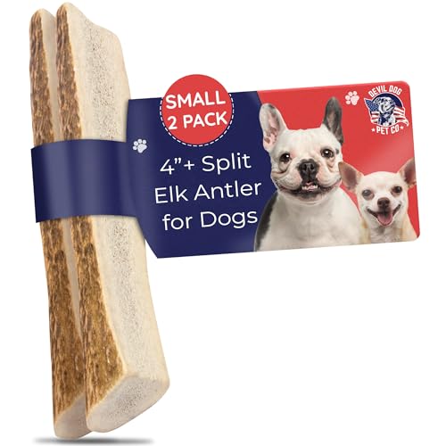 Devil Dog Pet Co. Split Elk Antlers for Dogs, Natural Dog Chew with Exposed Marrow - Long Lasting and Odor Free - USA Sourced - Cleaner Teeth, Anxiety & Boredom Relief - Small 4"+ 2 Pack - style: split - Small - 2 Pack