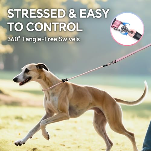 QQPETS Adjustable Slip Lead Dog Leash, Hands Free Waist Leash for Dog Walking, Reflective Training Lead with 360° Swivel Anti-Tangle, 4-7 ft Length for All Breeds - color: Blue-pink Gradient