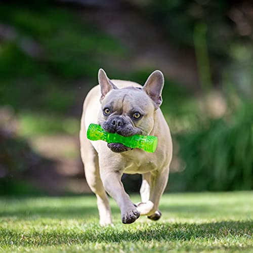 Hyper Pet DuraSqueaks Dog Toy Balls and Chews (Squeaky Dog Ball For Interactive Play – Floating Balls and Toys) - Medium Stick - size: Medium (Pack of 1), style: Stick Medium