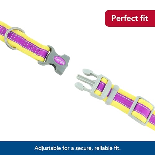 Coastal Pet - Pro - Reflective Adjustable Dog Collar, Purple with Yellow, 1" x 14-20" - color: Purple with Yellow, size: 1" x 14-20" (Pack of 1)