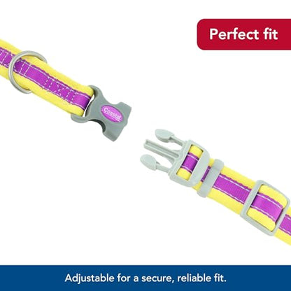 Coastal Pet - Pro - Reflective Adjustable Dog Collar, Purple with Yellow, 1" x 14-20" - color: Purple with Yellow, size: 1" x 14-20" (Pack of 1)