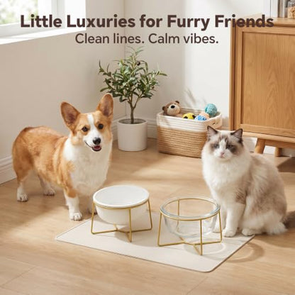 Large Glass Tilted Elevated Cat Dog Bowl Raised Cat Food Water Bowl Dish Pet Comfort Feeding Bowls with Gold Iron Stand - color: Glass, size: Large