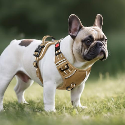 Timos Dog Harness Small Sized, No Pull Pet Harness with Neck Lockable Snap,No Choke Front Clip Dog Reflective Vest,Adjustable Metal Rings 3 Buckles,Easy Control Handle for Small Dogs Khaki S - color: Lock Khaki, size: Small (Pack of 1)