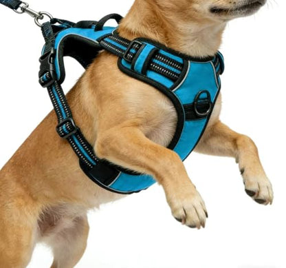 Blue No-Pull Dog Harness with 2 Leash Clips，Soft Padded Vest for Small Dog, Adjustable Reflective Dog Vest Easy to Put on and Take Off,(Neck: 13"~17", Chest: 17"~21",Blue Small) - color: Blue, size: Small