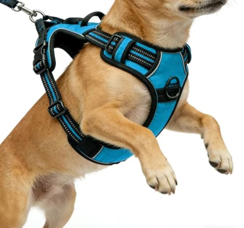 Blue No-Pull Dog Harness with 2 Leash Clips，Soft Padded Vest for Small Dog, Adjustable Reflective Dog Vest Easy to Put on and Take Off,(Neck: 13"~17", Chest: 17"~21",Blue Small) - color: Blue, size: Small