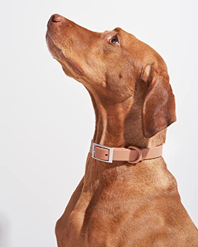 Wild One Dog Collar, Easy-Clean, All Weather Flex-Poly Strap with Metal, Durable, Dirt and Odor Resistant (Cocoa, S) - color: Cocoa, size: S