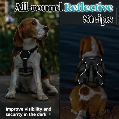 rabbitgoo Escape Proof Dog Harness, Soft Padded Full Body Pet Harness, Reflective Adjustable No Pull Vest with Lift Handle and Leash Clip for Large Dogs Walking Hiking Training, S, Grey - color: Grey, size: Small (Pack of 1)