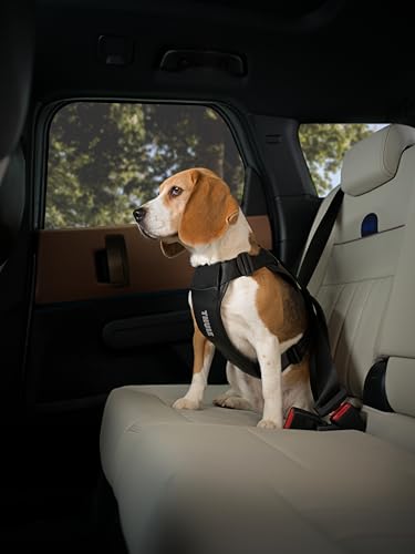 Thule Cappy Dog Harness M - Crash-Tested for Safety - Seatbelt passthrough - Adjustable & Easy to Clean - Padded Breathable mesh Panels - Leash Loop - Step-in Design - size: Medium