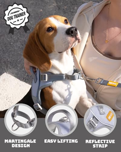 DF No Pull Step-in Martingale Dog Harness, Help Stop Pulling & Choking, Reflective & Adjustable, Front Clip Harness with Lift Handle, Tactical Silent Metal Buckle, Gray, 1", Front Chest 14.4"-18.0"