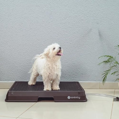 Weasy Smart Dog Potty for Small Dogs - Black - Small