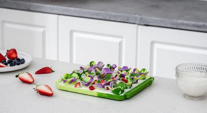 Tall Tails Succulent Foraging Mat for Dogs and Cats – Slow Pet Feeder Puzzle Mat for Easy & Engaging Feeding - color: Succulent