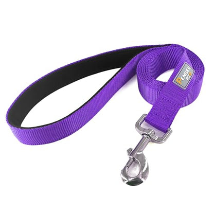 Basic Dog Leashes 6 FT Padded Handle Nylon Dogs Leashes for Small Dogs Purple - color: Purple, size: Small : 5/8" x 6 FT