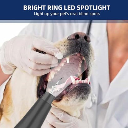 Plaque Remover for Teeth, Pet Ultrasonic Cleaner, Dog Plaque and Tartar Remover with LED Light, Dog Teeth Cleaning Dental Care Kit for Tartar and Stains, Suitable for Dogs and Cats (Black) - color: Black