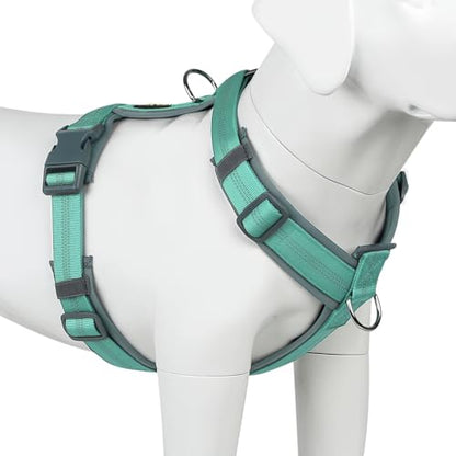 Plutus Pet No Pull Dog Harness, Adjustable Nylon Harness with Soft Padding, Reflective and Heavy Duty Dog Harness for Small, Medium, Large Dogs(Teal, M) - color: Teal, size: M