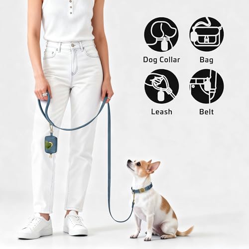 Didog Stylish Dog Poop Bag Holder for Leash, Easy-Pull and Colorful PU Leather Dog Poop Bag Dispenser with Metal Clip, Includes 1 Roll Pet Waste Bag for Daily Walking,Blue - color: Blue