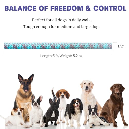 5 ft Dog Leash with Padded Handle, Tangle-Free Rope Leashes for Small Medium Large Dogs, Training Lead Heavy Duty, Blue