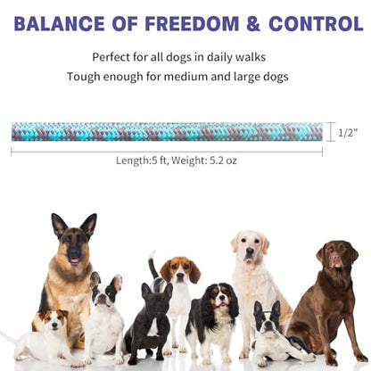 5 ft Dog Leash with Padded Handle, Tangle-Free Rope Leashes for Small Medium Large Dogs, Training Lead Heavy Duty, Blue