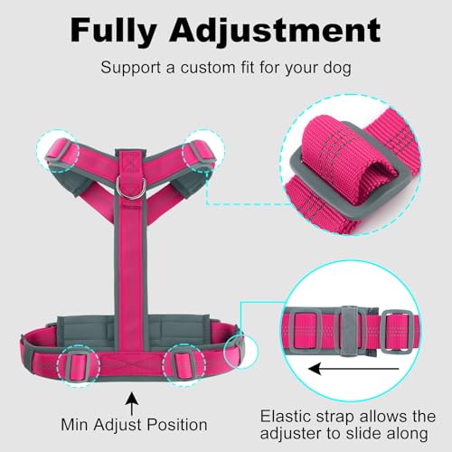 Plutus Pet No Pull Dog Harness, Adjustable Nylon Harness with Soft Padding, Reflective and Heavy Duty Dog Harness for Small, Medium, Large Dogs(Hot Pink, S) - color: Hot Pink, size: S
