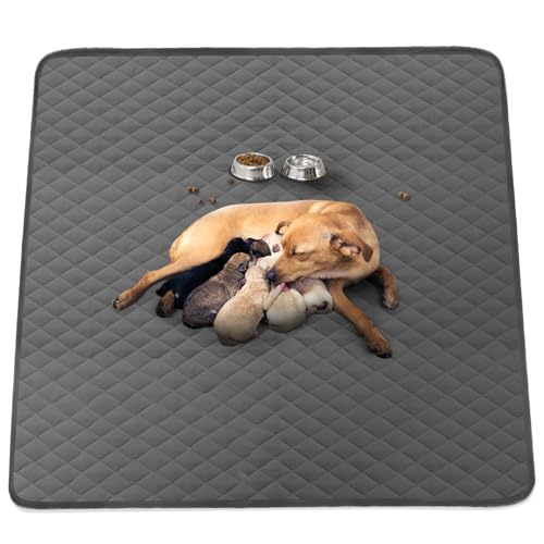Washable Reusable Dog Pee Pads, 48"x65" Absorbent & Waterproof Puppy Training Pad for Crate, Playpen & Carpet, Large Potty Pads for Dogs, Cats & Small Pets - size: 1Pc 48x65 Inch