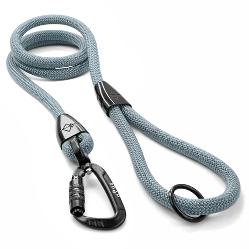 MADE TO ROAM Premium Explorer Leash - Climbing Rope Leash with Autolocking Aviation Aluminum Carabiner - Virginia Mountains, 4ft - color: Virginia Mountains, size: 4 Feet