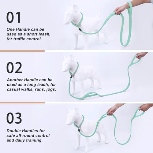 Slip Lead Dog Leash, Double Handle, Soft Leather, Heavy Duty Nylon, No Pull Walking, 5ft Mint Green - color: Mint Green, size: 5ft