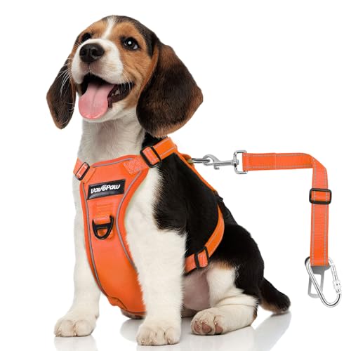 VavoPaw Dog Seat Belt Harness for Car, Dog Car Harness Adjustable Mesh Breathable & Dogs Seatbelt Safety Tether with Elastic Bungee for Small Medium Large Pets(Orange, M)
